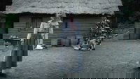 Backdrop 37