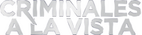 Logo 9