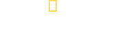 Logo 8