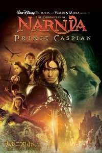 Poster 15