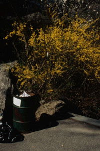 Poster for Grafitti Report Form