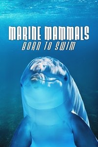 Poster for Marine Mammals - Born to Swim