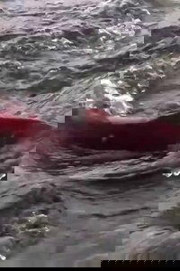 Stó:lo — Big River