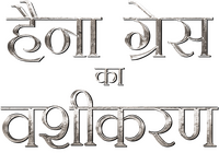 Logo 19