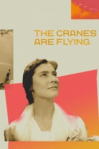 Poster 28