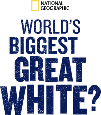 Logo 0