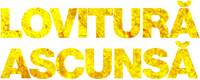 Logo 14
