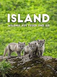Poster for Iceland: Wilderness of Fire and Ice