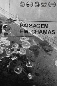 Paisagem em Chamas