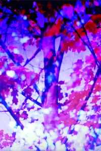 Poster for Skyjacker