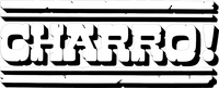 Logo 0