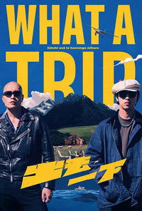 Poster for What a Trip
