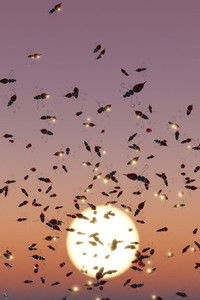 Poster for And the creeper keeps on reaching for the flame tree