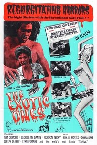 Poster 1