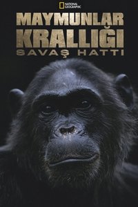 Poster 4