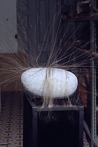 Hairy Stone