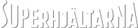 Logo 13