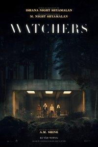 Poster 5
