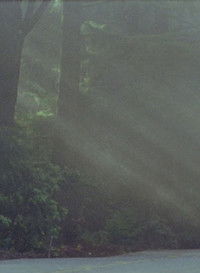 Poster for California Picture Book