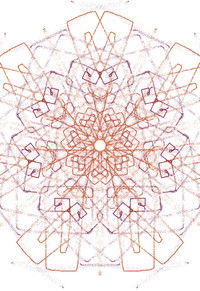 Feng's profile image