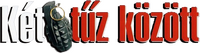 Logo 16