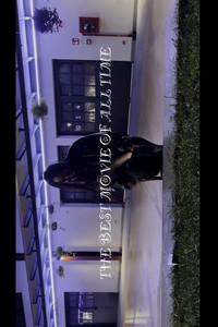 The Best Movie of All Time