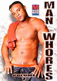 Cats Between 4 Walls 2