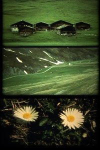 Spaziergänge