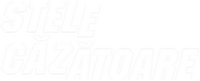 Logo 1