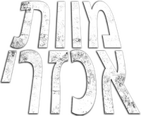 Logo 16