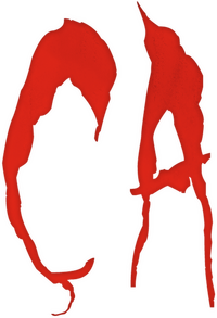 Logo 41