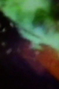 Poster for Bent Light