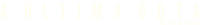 Logo 17