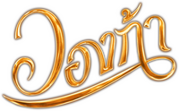 Logo 13