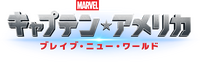Logo 91