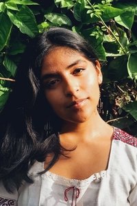 Profile of Wara Calpanchay