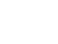Logo 12