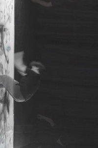 Pigmented Movement I 2024