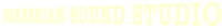 Logo 1