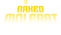 Logo 0