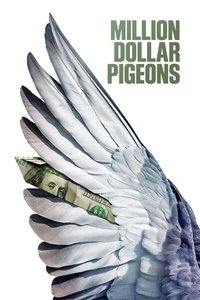 poster Une course, des pigeons et des millions