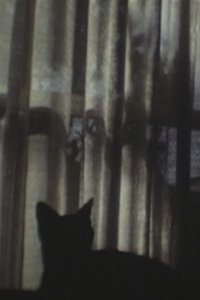 Poster for CAT ＆ CURTAIN