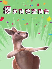 爆笑动物运动会