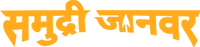 Logo 13