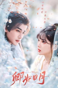 Poster for 卿与日月