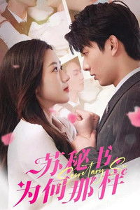 Poster for 苏秘书为何那样