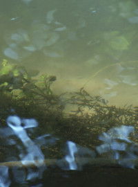 Poster for Heartbroken for Good