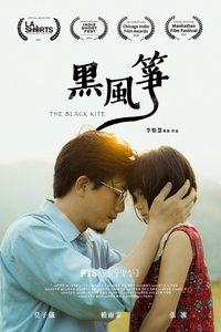 Poster 2