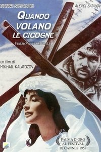 Poster 45