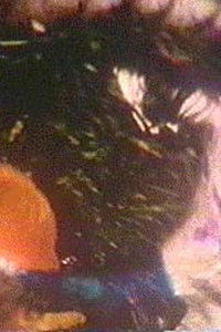 Poster for My Good Eye